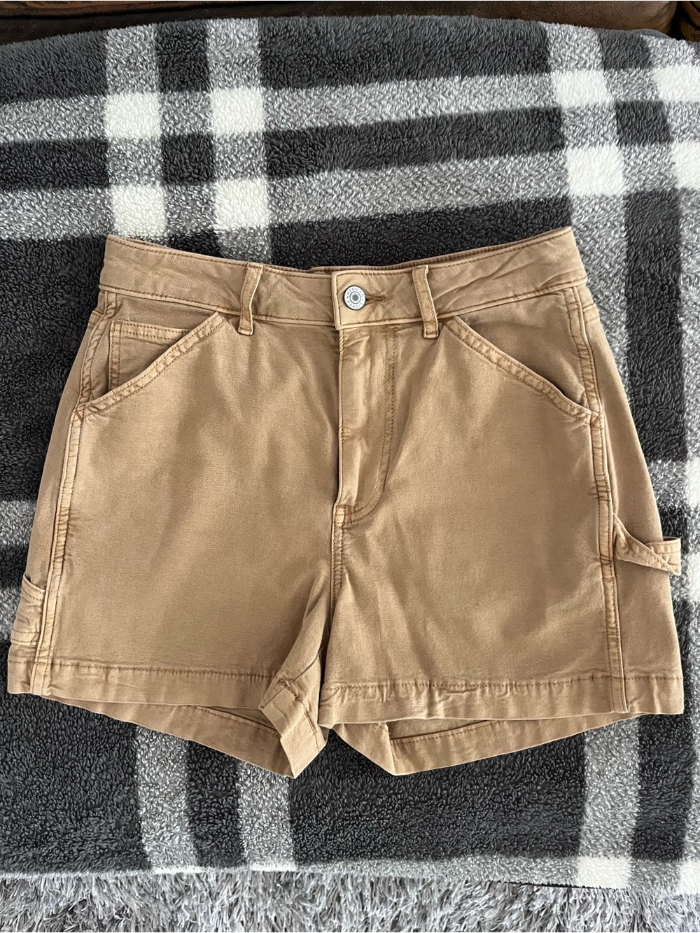 American Eagle Outfitters Tan Cargo Shorts